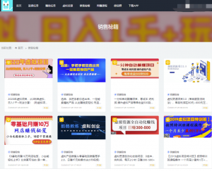 虚拟项目插图8